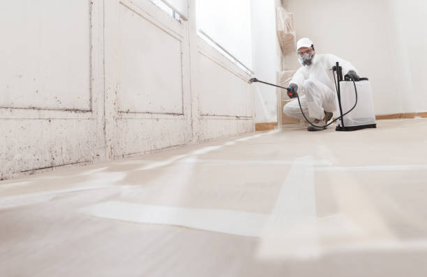 Black mold remediation team in Billerica